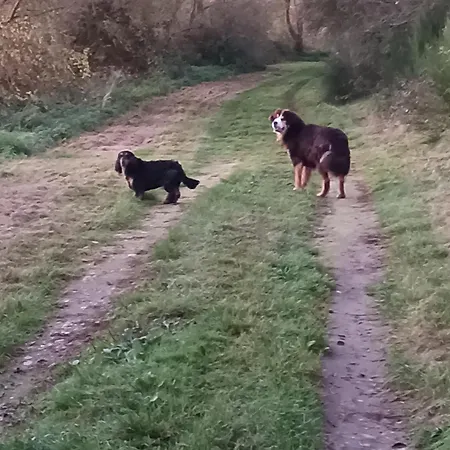 Cosy A Διαμέρισμα